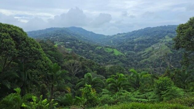 Se vendeFinca con cabañas cerca de Nauyaca Falls  en Barú, Pérez Zeledón, San José — $425,000
