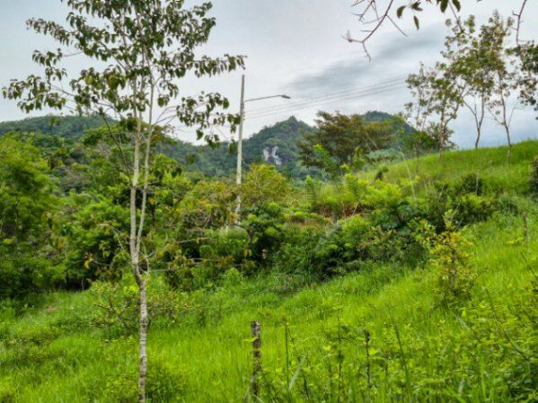 Propiedad con vista en calle sin salida. in San Isidro De El General, Pérez Zeledón, San José — $90,000