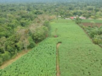  ¡OPORTUNIDAD ÚNICA EN CHACHAGUA A UN PRECIO INMEJORABLE!🏞️ en Peñas Blancas, San Ramón, Alajuela — ₡ 166 122 000