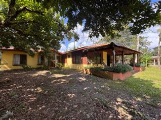 SE VENDE finca de cacao con casa, Jimenez de Pococí 28,512.59m2 in Jiménez, Pococí, Limón — 150 000 000 ₡ - Photo 3 of 6