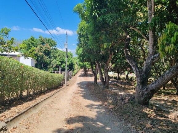 MLS-26-257 LS VENTA LOTE OROTINA ALAJUELA en Orotina, Alajuela — ₡ 30 000 000