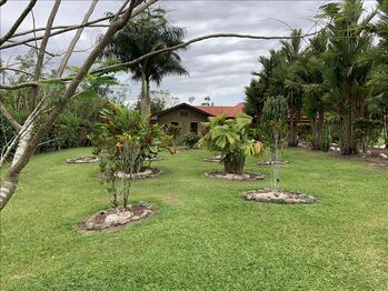 Finca en Venta Río Cuarto, Río Cuarto, Alajuela