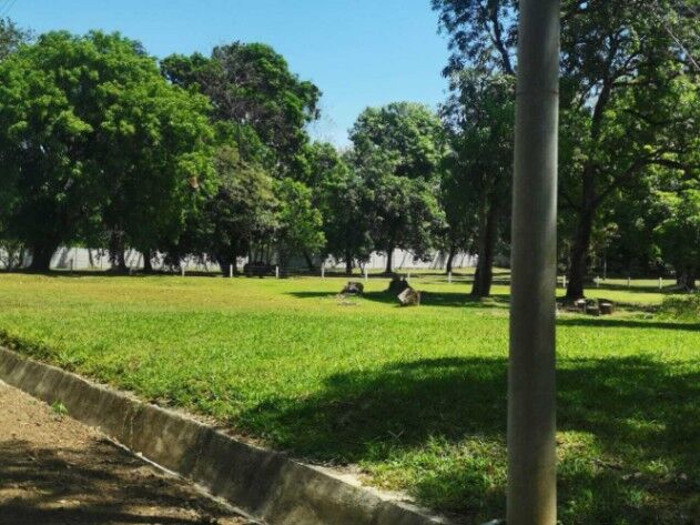 Venta de Lote en San Mateo de Alajuela. RAH 25-1567 en San Mateo, Alajuela — ₡ 89 035 540