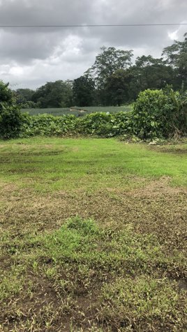VENTA DE LOTE CON USO DE SUELO MIXTO,  HEREDIA, SARAPIQUÍ, HORQUETAS en Las Horquetas, Sarapiquí, Heredia — ₡ 32 000 000
