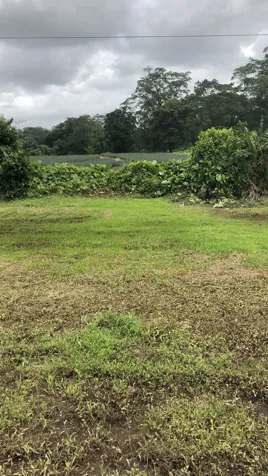 VENTA DE LOTE CON USO DE SUELO MIXTO,  HEREDIA, SARAPIQUÍ, HORQUETAS in Las Horquetas, Sarapiquí, Heredia — ₡ 32 000 000 - Photo 3 of 8