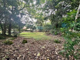 Venta de Lote en Ciudad Colón-Centro. RAH 27-1041 en Colón, Mora, San José — $200,000 - Foto 3 de 15