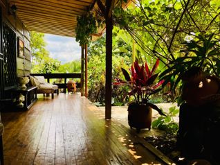 Venta de quinta en Horquetas de Sarapiquí en Las Horquetas, Sarapiquí, Heredia — ₡ 70 000 000 - Foto 5 de 21