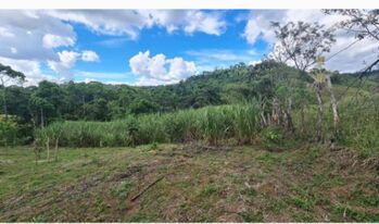 Venta de finca in Limoncito, Coto Brus, Puntarenas — 145 000 000 ₡ - Photo 5 of 12