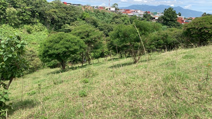 VENTA TERRENO DE DESARROLLO, SAN JOSE, GUADALUPE, PURRAL in Guadalupe, Goicoechea, San José — $702,000