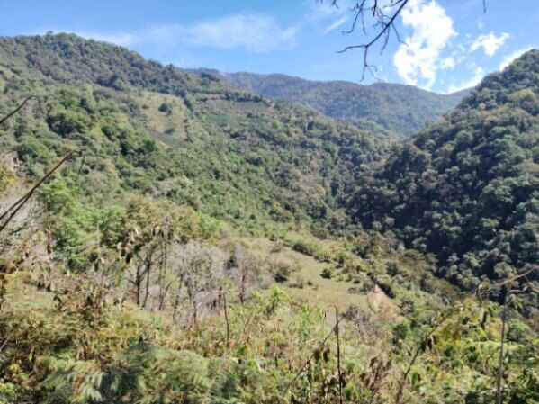 Venta Parcela en Providencia de Dota in Copey, Dota, San José — $250,000