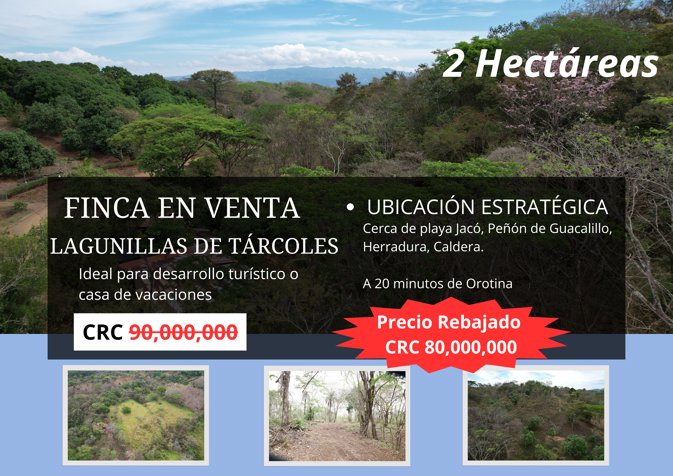PROPIEDAD EN LAGUNILLAS - TÁRCOLES, GARABITO 2 HECTÁREAS in Tárcoles, Garabito, Puntarenas — ₡ 80 000 000
