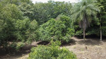 Venta de lotes contiguos en San Mateo de Alajuela en Jesús María, San Mateo, Alajuela — 35 500 000 ₡ - Foto 4 de 11