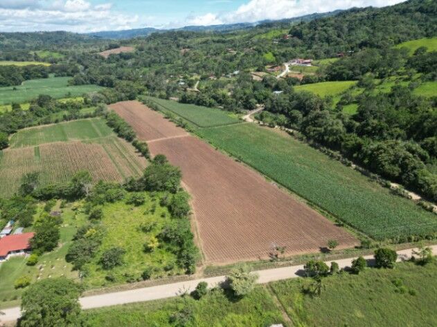 Propiedad 31,157.53 metros cuadrados. Finca. Terreno. en San Isidro De El General, Pérez Zeledón, San José — ₡ 120 000 000