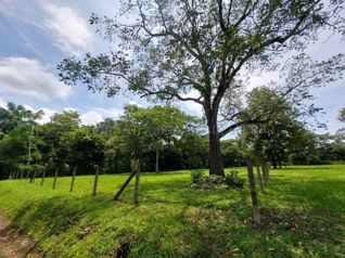 Venta de Lote Plano en Coyolar de Orotina.  RAH 27-824 en Coyolar, Orotina, Alajuela — 140 000 000 ₡ - Foto 5 de 9
