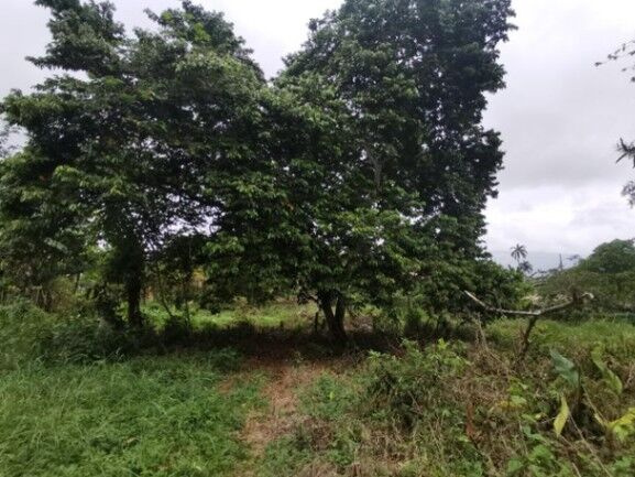 MLS-25-1085 VENTA LOTE SAN JUAN TURRIALBA in Turrialba, Cartago — $375,500