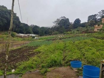 Venta de Hermoso Terreno Agrícola en Santa María, Dota / JB OFC Mls. 25-1060 en Santa María, Dota, San José — $710,000 - Foto 4 de 7