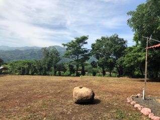 Venta lindo lote de 3361 m2, en Escobal, Atenas en Atenas, Alajuela — $100,000 - Foto 2 de 10
