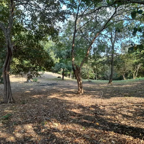 Buildable land with tranquility in a tourist area in Curubandé, Liberia, Guanacaste — $384,000