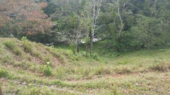 Venta de Finca Ganadera con Operación Llave en Mano en San Marcos de Cutris en Cutris, San Carlos, Alajuela — 460 000 000 ₡ - Foto 4 de 7