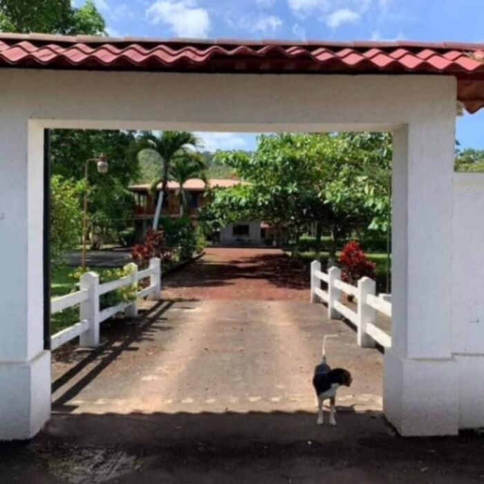 ESPECTACULAR PROPIEDAD Y CASA EN FLORENCIA DE SAN CARLOS.  en Florencia, San Carlos, Alajuela — $250,000