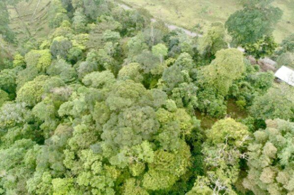 Terreno Venta Guápiles, Pococí Limón #26-1792 en Guápiles, Pococí, Limón — ₡ 40 000 000