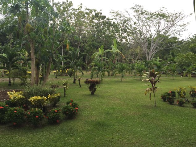Terreno Único a 100m del Mar ❌  $1,450,000 ➝ Ahora ✔🔥  $1,300,000 en Puerto Jiménez, Golfito, Puntarenas — $1,300,000 - Foto 2 de 5