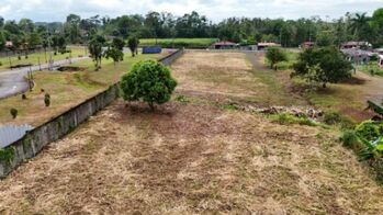 Venta de Lote en Pococí de Limón. RAH 26-641 in Rita, Pococí, Limón — 65 000 000 ₡ - Photo 4 of 8