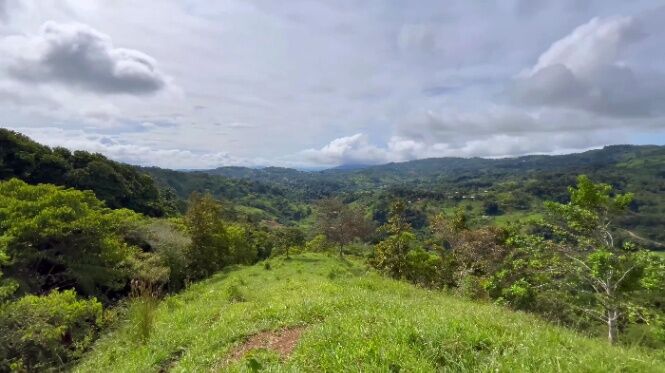 EN VENTA – 9.3 HECTÁREAS EN PLATANARES, PÉREZ ZELEDÓN, COSTA RICA in Platanares, Pérez Zeledón, San José — $156,999