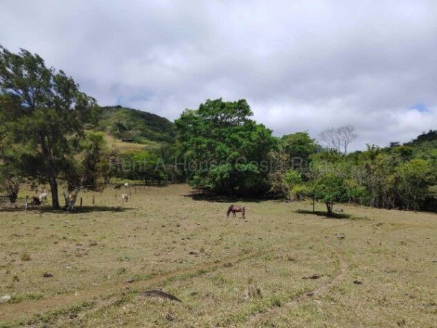 Venta terreno 26.9 ha ideal inversión agro o turística alta proyección #26-1770 GS en Piedades Sur, San Ramón, Alajuela — $1,200,000