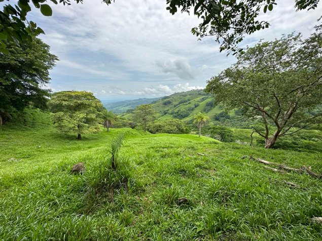 Propiedad de 117,454m2 ideal para finca en Atenas, Alajuela — $390,000 - Foto 2 de 4
