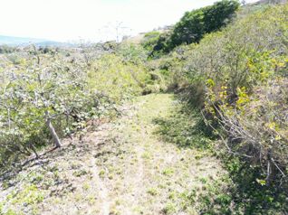 Venta de lote en Ciudad Colón vistas panorámicas en Colón, Mora, San José — 65 000 000 ₡ - Foto 3 de 12