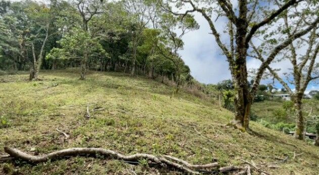Venta de Lote en Quebradilla, Cartago. RAH 25-1668 in Quebradilla, Cartago — ₡ 90 000 000