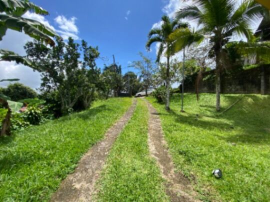 Vendo casa en Mollejonctios in San Isidro De El General, Pérez Zeledón, San José — ₡ 50 000 000