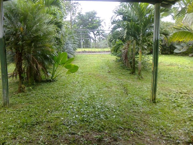 VENTA DE QUINTA, LIMON, SIQUIRRES, LA ALEGRIA in Siquirres, Limón — ₡ 40 000 000