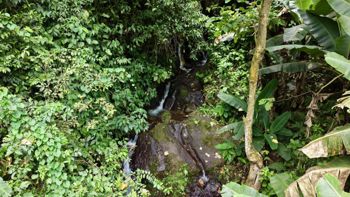 SE VENDE FINCA CON CASCADA PRIVADA Y ENTORNO NATURAL UNICO en Rivas, Pérez Zeledón, San José — $250,000 - Foto 3 de 19