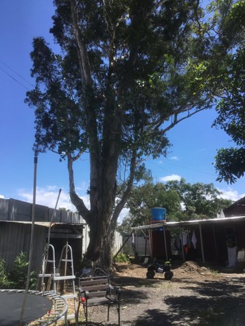 VENTA DE  PROPIEDAD CON  CASA DE HABITACION  -  Limite San Rafael y Santa Lucía de Barva-  4 HAB in San Rafael, Heredia — ₡ 124 000 000