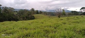 Finca en Venta Pittier, Coto Brus, Puntarenas