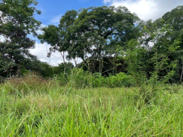 Venta de Espectacular Lote de Terreno en San Pablo de Turrubares / Mls. 26-1316 OFC JB in San Pablo, Turrubares, San José — $50,000