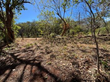 🏖️ Terreno en venta a 5 min de la playa – Guanacaste en Tamarindo, Santa Cruz, Guanacaste — $400,000 - Foto 4 de 8
