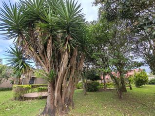 Alquiler de propiedad con casa tipo chalet y zona verde en Barva, Heredia — $1,600 - Foto 5 de 25