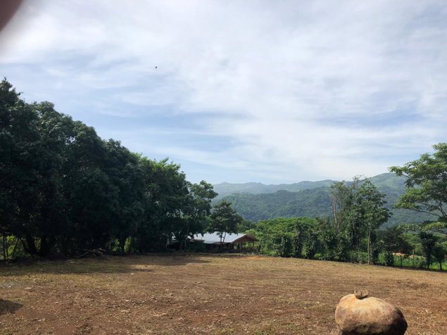 Venta lindo lote de 3361 m2, en Escobal, Atenas en Atenas, Alajuela — $100,000