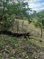 SE VENDE BELLÍSIMA PROPIEDAD EN PIEDRAS NEGRAS, MORA, SAN JOSÉ.  en Piedras Negras, Mora, San José — 80 000 000 ₡ - Foto 4 de 10