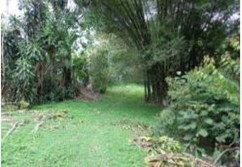 LOTE EN VENTA, GANGA BANCARIA, CAJÓN PÉREZ ZELEDÓN in Cajón, Pérez Zeledón, San José — $59,839 - Photo 2 of 4