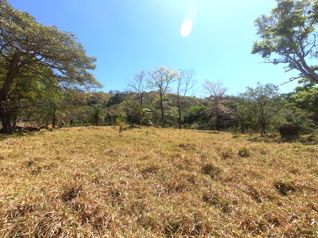 FINCA BARROETA - Una Finca de 16 Hectáreas (161,799 m²) in Atenas, Alajuela — $875,000 - Photo 4 of 24