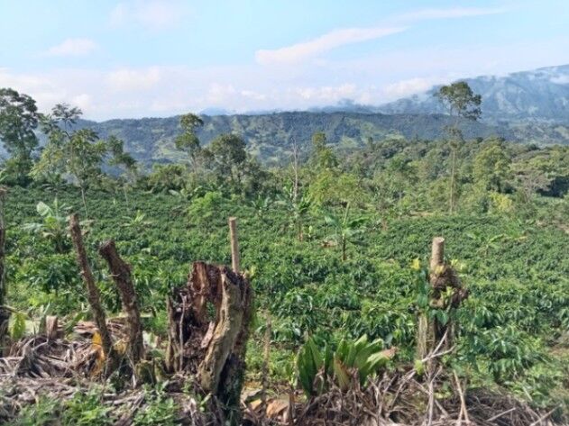 🌅Hermosa finca de 14 hectáreas con vistas al mar, agua propia y enorme potencial en Puriscal. en Barbacoas, Puriscal, San José — $720