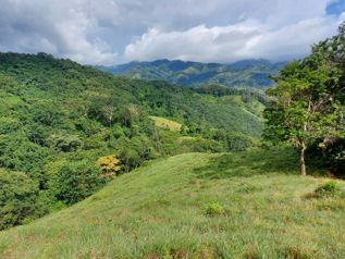 Finca de 74 Ha en Hojancha Nicoya en Nicoya, Guanacaste — $580,000 - Foto 5 de 8
