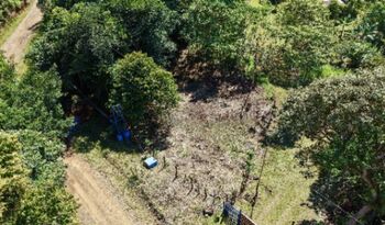 SE VENDE LOTE PLANO EN ZONA TRANQUILA Y DE FACIL ACCESO en Cajón, Pérez Zeledón, San José — $16,000 - Foto 5 de 9