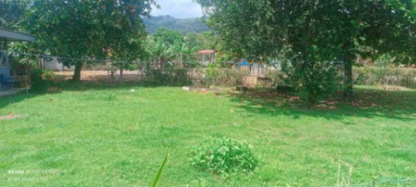 SE VENDEN 5 BELLOS LOTES EN PALMARES NORTE, ZONA SUR.  en Puntarenas — ₡ 6 000 000