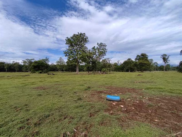 Vendo Finca Ganadera, Heredia, Sarapiquí. 5PVV9294333 en Las Horquetas, Sarapiquí, Heredia — $1,500,000