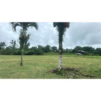 Lote en Venta Guápiles, Pococí, Limón